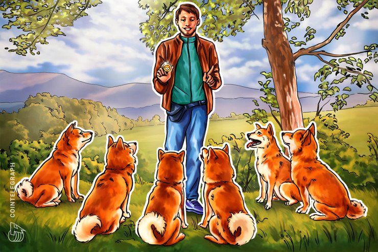 Shiba Inu Coin: A Beginner's Guide to SHIB Cryptocurrency